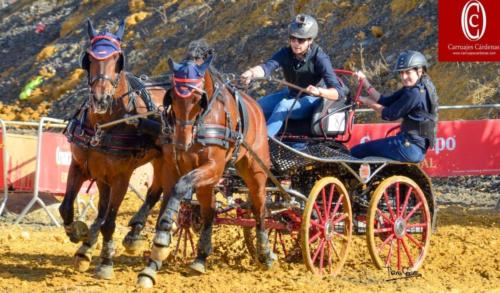 Carruajes Cárdenas